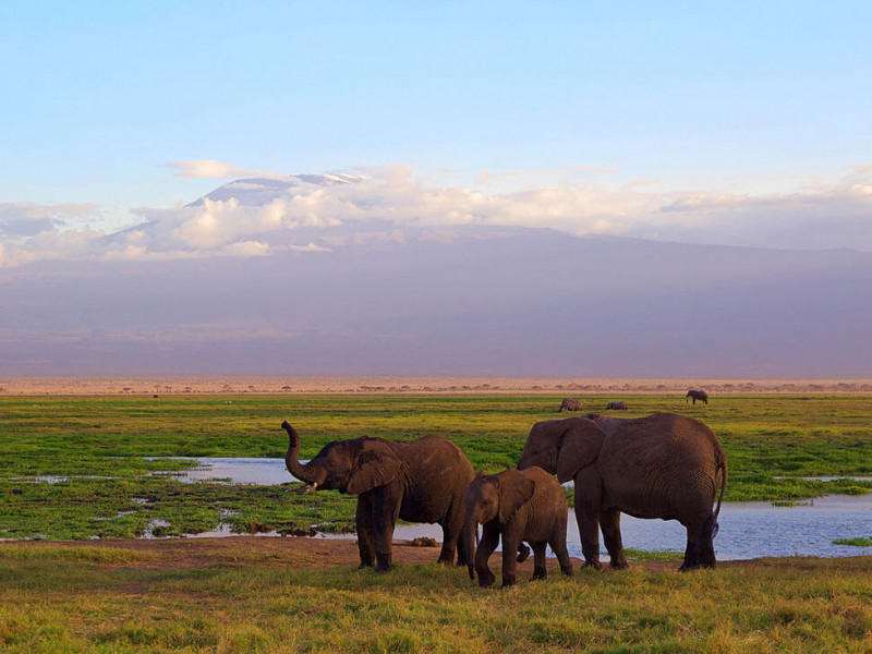 SAFARI TANZANIA & SEJUR ZANZIBAR - Serengeti