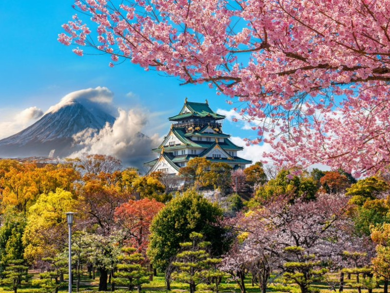 JAPONIA 2023 – SPECTACOLUL FLORII DE CIRES - Tokyo